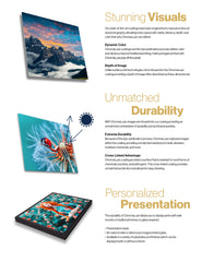 Custom Printed Metal Wall Art Panels